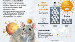 Infografik:  Kemenkes Perkuat Strategi Hadapi Ancaman Hantavirus di Indonesia