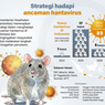 Infografik:  Kemenkes Perkuat Strategi Hadapi Ancaman Hantavirus di Indonesia