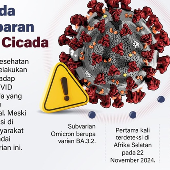 Infografik: Waspada Penyebaran Varian COVID Cicada