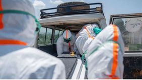 Angka kematian akibat wabah mematikan Ebola di Republik Demokratik Kongo (RD Kongo) terus merangkak naik dan kini telah melampaui 1.500 jiwa. Laporan terbaru ini semakin mempertegas gentingnya krisis kesehatan yang tengah melanda kawasan tersebut.