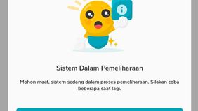 Pemerintah memberikan diskon sebesar 50 persen untuk pembelian token listrik yang berlaku mulai Januari 2025.
