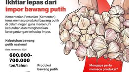 Infografik: Kementan Pacu Produksi Bawang Putih untuk Kurangi Ketergantungan Impor
