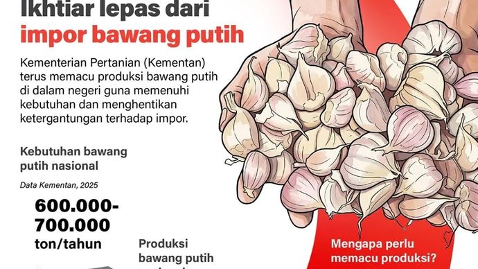 Infografik: Kementan Pacu Produksi Bawang Putih untuk Kurangi Ketergantungan Impor