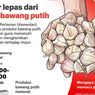 Infografik: Kementan Pacu Produksi Bawang Putih untuk Kurangi Ketergantungan Impor