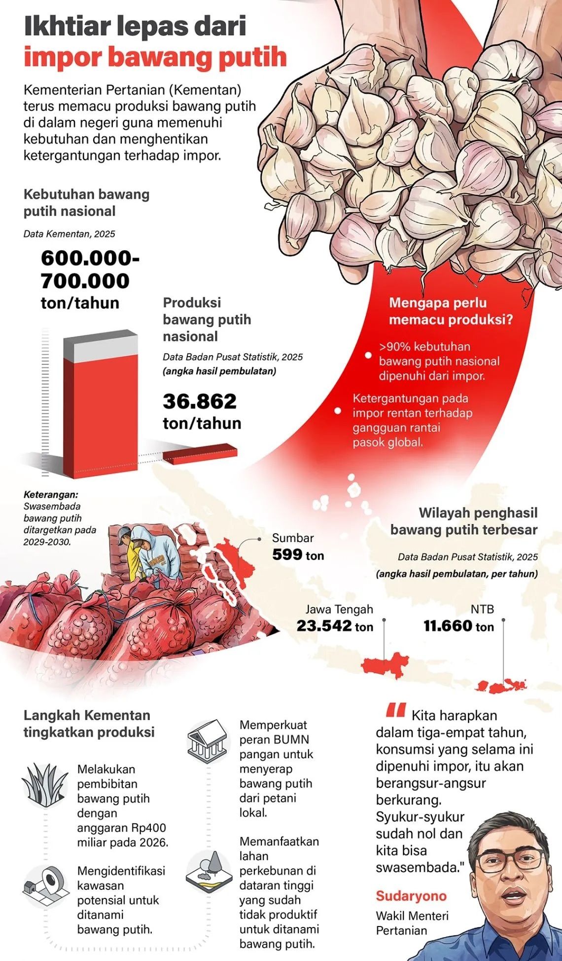 Infografik: Kementan Pacu Produksi Bawang Putih untuk Kurangi Ketergantungan Impor <b>(Antara)</b>