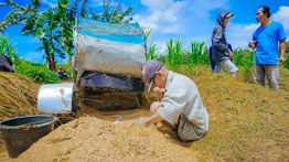 Harga Gabah Petani Anjlok di Bawah HPP, Wamentan Sudaryono Minta Bulog Serap dalam 2 Hari