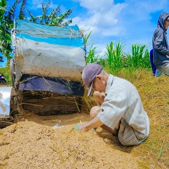 Harga Gabah Petani Anjlok di Bawah HPP, Wamentan Sudaryono Minta Bulog Serap dalam 2 Hari