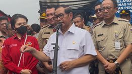 Pramono Anung Akui Harimau Kurus di Ragunan Miliknya Pribadi