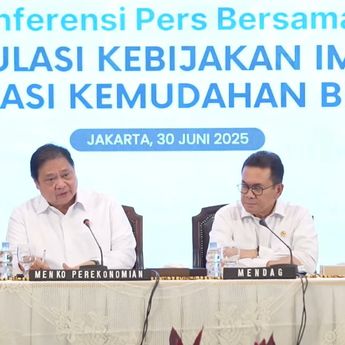 Permendag 8 Tahun 2024 Soal Impor Resmi Dicabut, Ini 9 Aturan Penggantinya