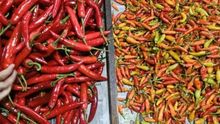 Harga Pangan Hari Ini: Cabai Rawit Merah Tembus Rp120 Ribu per Kg, Daging Ayam Rp50 Ribu per Kg