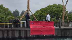 Kementerian Kelautan dan Perikanan (KKP) menghentikan kegiatan reklamasi di Pulau Pari, Kepulauan Seribu.
