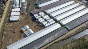  Satuan Tugas Percepatan Rehabilitasi dan Rekonstruksi Pascabencana Sumatera melaporkan bahwa pemerintah telah menyelesaikan pembangunan 4.263 unit hunian sementara (huntara) atau sekitar 24 persen dari total rencana 17.499 unit yang akan dibangun di