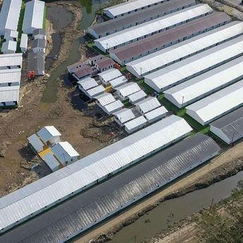 Pemerintah Tuntaskan Pembangunan 4.263 Unit Huntara di Tiga Provinsi