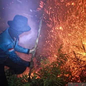 BNPB Catat Peningkatan Titik Panas Karhutla di 3 Provinsi Kalimantan
