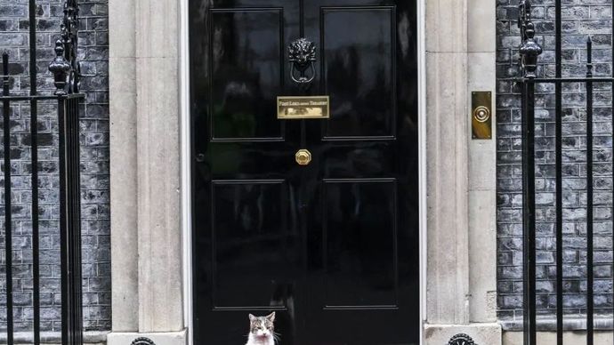 Kucing penghuni kediaman Perdana Menteri Inggris, Larry berdiam di depan pintu Downing Street 10, London, Inggris, Selasa 20 Januari 2026