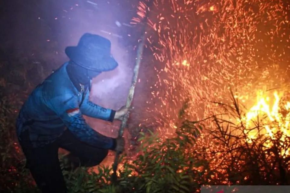 Petugas dari Dinas Kehutanan Kalteng berupaya memadamkan kebakaran di Kelurahan Menteng, Palangka Raya, Kalimantan Tengah <b>(Antara)</b>