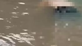 Kakek di Bekasi Tewas Terseret Banjir