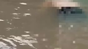 Korban berusaha 79 tahun