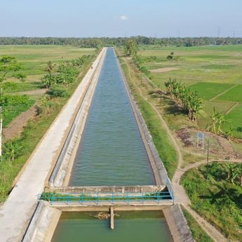 Kejar Target Swasembada Pangan, 1 Juta Hektare Lahan Sawah Ditargetkan Bakal Teraliri Irigasi