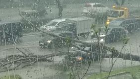 Sebuah insiden tak terduga terjadi di Jalan Alam Sutera Boulevard, tepatnya di area dekat Electronic City Alam Sutera, Senin, 11 November 2024 sore.