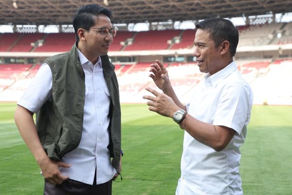 Rumput Dalam Maturasi, Ini Penampakan Terbaru Lapangan GBK, Senayan