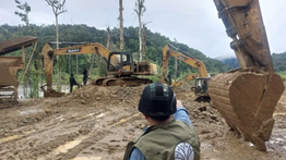 Kemenhut Tetapkan 4 WNA China Tersangka Tambang Emas Ilegal di Nabire