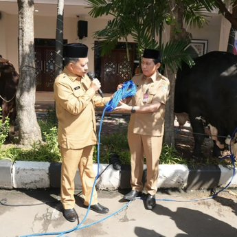 Mendagri Tito Serahkan 360 Hewan Kurban di Lingkungan Kemendagri dan BNPP