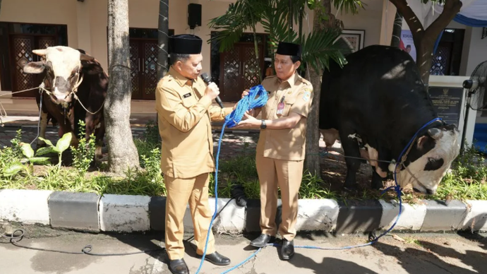 Menteri Dalam Negeri (Mendagri) Muhammad Tito Karnavian menyerahkan secara simbolis hewan kurban yang terkumpul di lingkungan Kementerian Dalam Negeri (Kemendagri) dan Badan Nasional Pengelola Perbatasan (BNPP) kepada kepada masyarakat dan pegawai yang membutuhkan. ANTARA/HO-Kemendagri