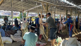 Kementerian Desa, Pembangunan Daerah Tertinggal (Kemendes PDT) bersama PT KAF resmi menunjuk Pemerintah Kabupaten Serang sebagai proyek percontohan nasional dalam standardisasi pengelolaan serta distribusi hewan kurban.