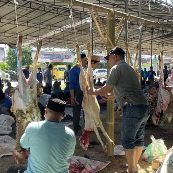 Kemendes Jadikan Serang Proyek Percontohan Nasiobal Penyaluran Hewan Kurban