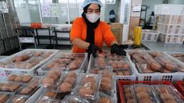 Cek Fakta: Klaim BGN Pesan 700 Juta Telur dari China untuk Program MBG, Hoaks!