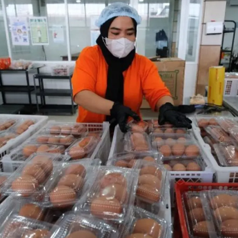 Cek Fakta: Klaim BGN Pesan 700 Juta Telur dari China untuk Program MBG, Hoaks!