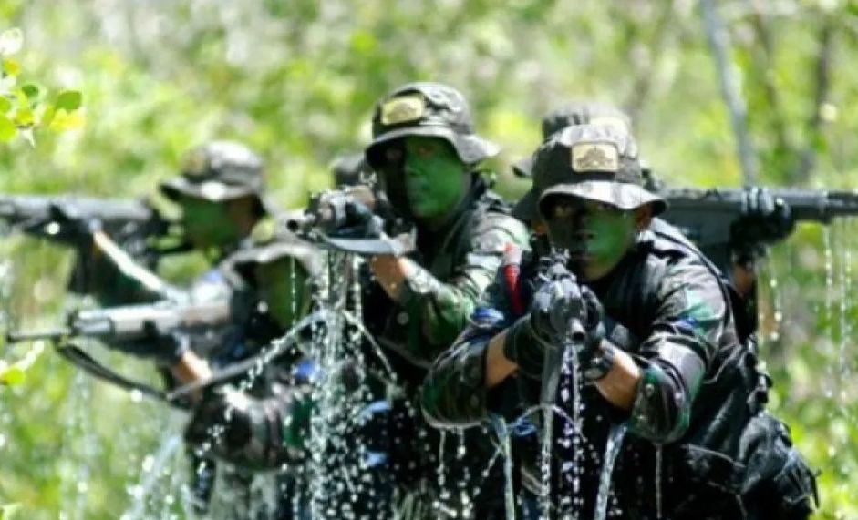 Arsip - Ilustrasi - TNI sedang latihan tempur. (antaranews.com)  <b>(Antara)</b>