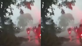 Beredar video memperlihat sejumlah pohon tumbang di depan Woody Simpangan Depok. Hal tersebut menjadi viral di media sosial.