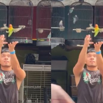 Saaih Halilintar Dihujat Netizen Usai Lepas Burung Lovebird