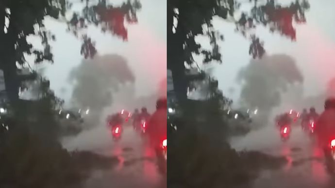 Pohon Tumbang di Depok Usai Diterpa Hujan Angin