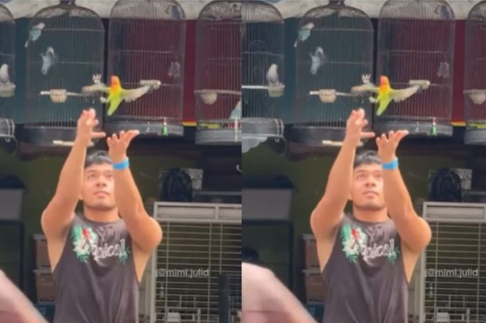 Saaih Halilintar Dihujat Netizen Usai Lepas Burung Lovebird - Ntvnews.id