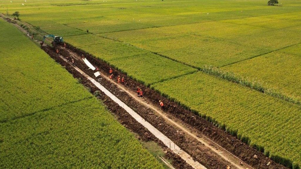 Kementerian PU targetkan 1 juta hektare lahan sawah teraliri irigasi/Ist