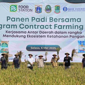 Pramono Dorong Swasembada Pangan Lewat Bantuan Pertanian dan Panen Raya di Karawang