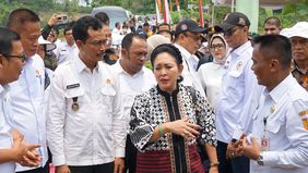 Ketua Komisi IV DPR RI Siti Hediati Hariyadi atau Titiek Soeharto siap mendukung percepatan swasembada pangan dan mengawal program yang disiapkan Kementerian Pertanian seperti ekstensifikasi dan intensifikasi untuk meningkatkan produksi padi nasional