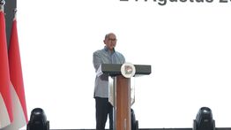 DSI Resmi Beroperasi, Mulai Pantau Ekspor Batu Bara, CPO hingga Ferroalloy