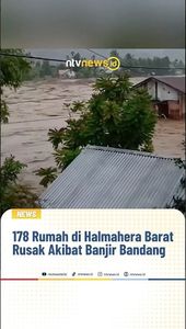 178 Rumah di Halmahera Barat Rusak Akibat Banjir Bandang | NTVNEWSID