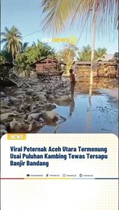 Viral Peternak Aceh Utara Termenung Usai Puluhan Kambing Tewas Tersapu Banjir | NTVNEWSID