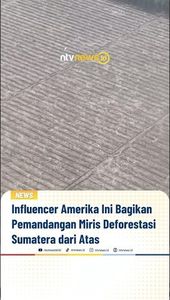 Influencer Amerika Ini Bagikan Pemandangan Miris Deforestasi Sumatera | NTVNEWSID