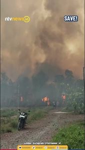Karhutla Masuk Permukiman di Barito Kuala, Warga Berhamburan Mengungsi