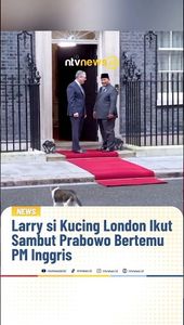 Larry Si Kucing London Ikut Sambut Prabowo Bertemu PM Inggris | NTVNEWSID