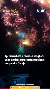 Sedih! Ratusan Peti Mayat di Liang Batu Toraja Utara Hangus Terbakar Karhutla