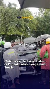 Mobil Lexus Tertimpa Pohon di Pondok Indah, Pengemudi Tewas | NTVNEWSID