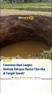 Fenomena Alam Langka: Sinkhole Raksasa Muncul Tiba-tiba di Tengah Sawah! | NTVNEWSID