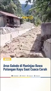 Arus Galodo di Maninjau Bawa Potongan Kayu saat Cuaca Cerah | NTVNEWSID